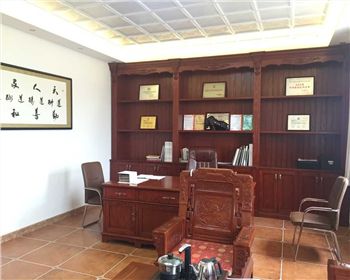 迪諾管理層辦公室